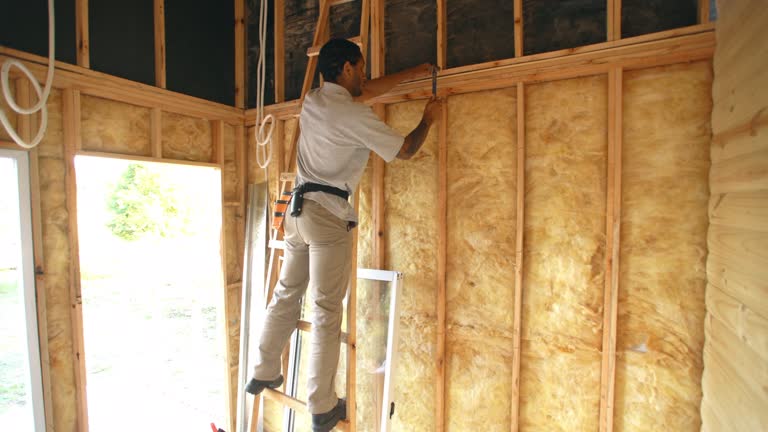 Eco-Friendly or Green Insulation Solutions in St James, MD